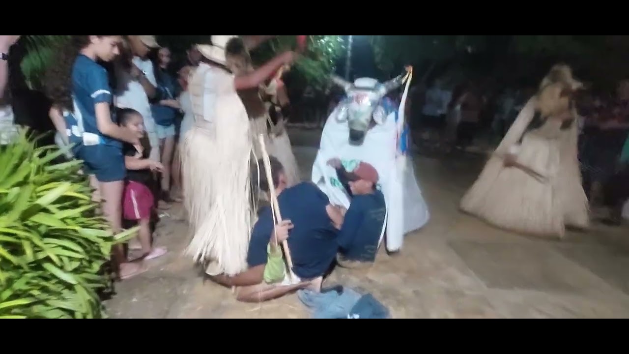 Reisado fora de época 2026