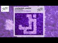 Junior jack  stupidisco jolyon petch remix