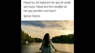 Şemsi̇ Tebri̇zi̇ Hayat Bu Bi̇r Bakarsin Her Şey Son Bulur..son Dedi̇ği̇n An