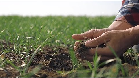 NUS College of Humanities & Sciences: Enhanced Undergraduate Experience