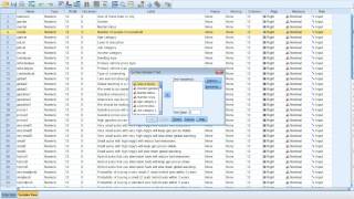 SPSS Hypothesis test (One-sample T Test)