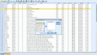 SPSS Hypothesis test (One-sample T Test) screenshot 2