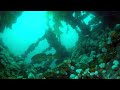 Wreck Diving Expedition Norway 2022 - Part 8: German Cargo Vessel &quot;Elise Schulte&quot;