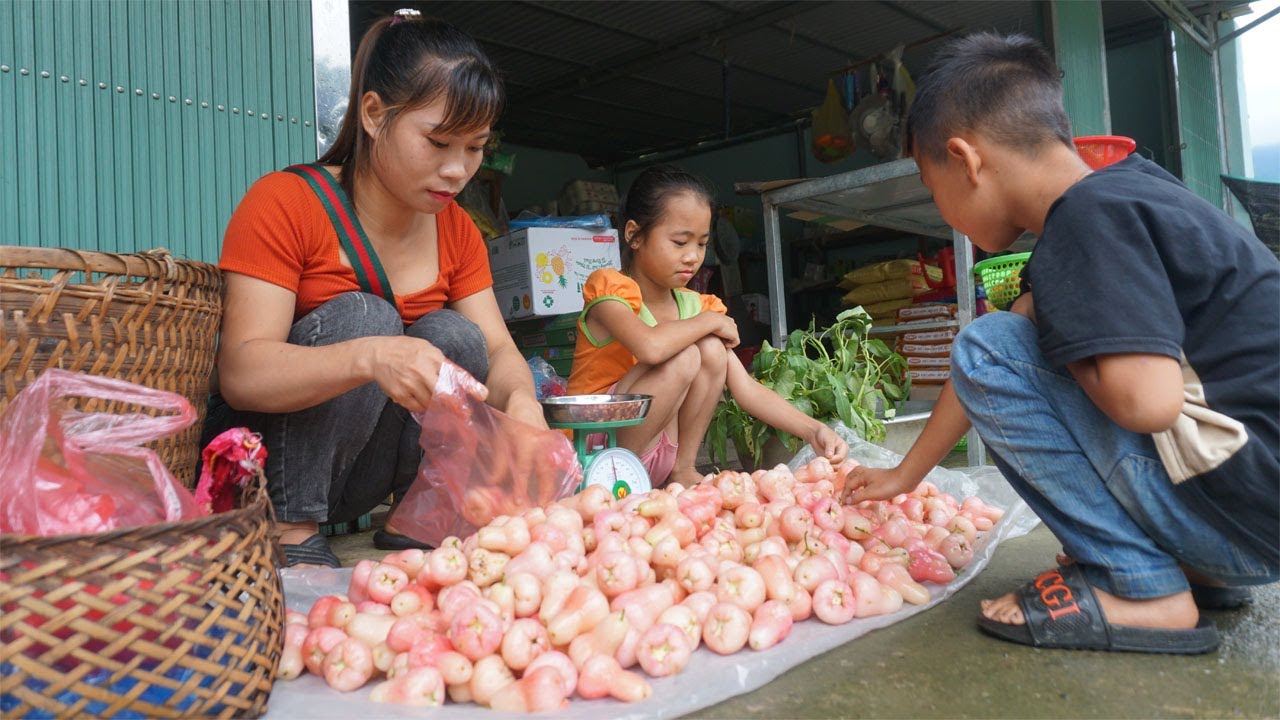 The life of a 17-year-old single mother - Harvest wild fruit to sell ...