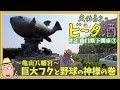 【山口県下関市③】亀山八幡宮 巨大フクと野球の神様の巻/孤独のグルメ原作者 久住昌之のビータ酒 #久住昌之 #孤独のグルメ #ビータ酒 #下関 #고독한미식가 #孤独的美食家 #孤獨的美食家