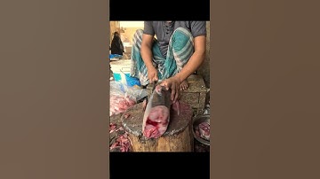 Traditional Pangasius Fish Cutting | Expert Fish Cleaning & Filleting #Shorts