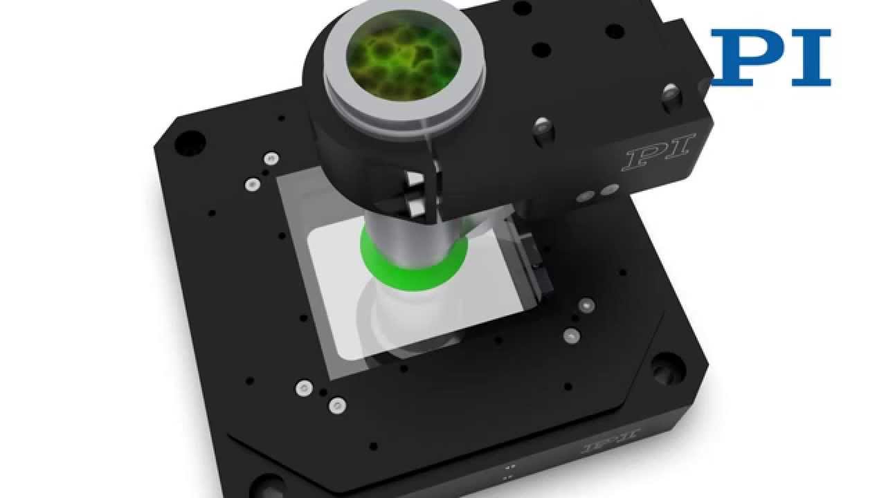 Piezo Nano Positioning Stage For Microscopy P563 PIMars XYZStage by