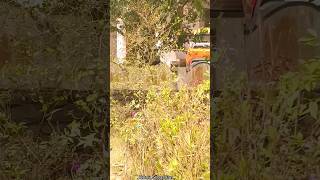 How to find a crow nest