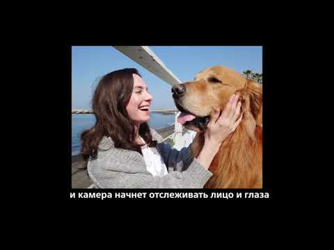 Режим фокусировки в приложении Photo Pro на Xperia 1 II.