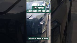 시티스케이프 그린, 그러니까 초록초록한 타스만이랄까