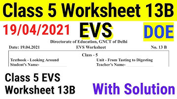 DOE Class 5 EVS Worksheet 13B with solution || worksheet 13 class 5 || class 5 worksheet 13