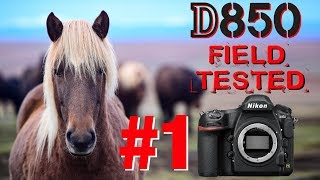 D850 Complete Testing & Review - 3 weeks in ICELAND