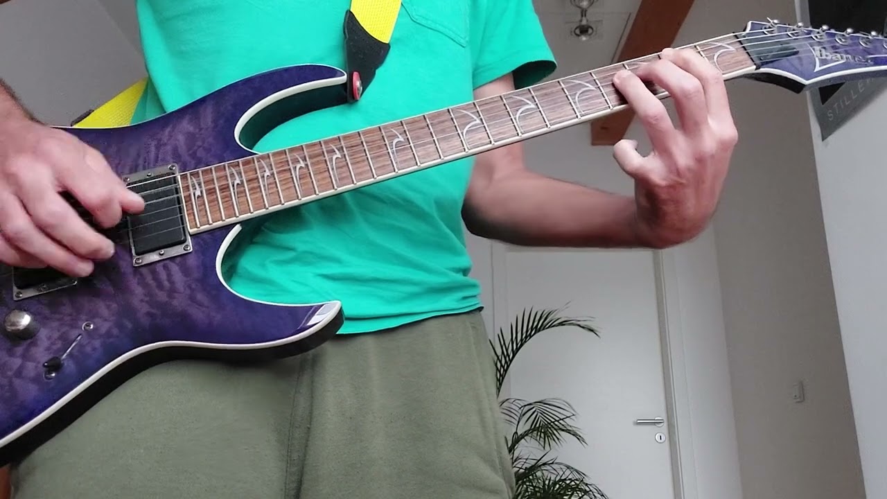 The Manges - Im a monkey (Guitar Cover)