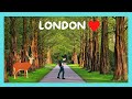 LONDON: BUSHY PARK, a Royal Park with beautiful nature, 🦌 deer and history