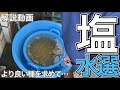 【塩水選】誰でもできる塩水選の超具体的な方法を解説！