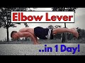 Learn the Elbow Lever in 1 Day  | Elbow Lever Tutorial