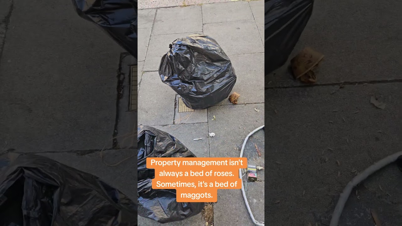 I cannot describe the stench that greeted me this morning.   