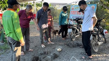 Chuột Bạch Xa Lưới Thì Không Con Cống Nhum Nào Chạy Khỏi.Góc Làng Quê#884