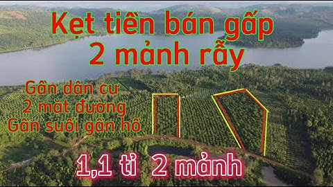 Bán đất rẫy đăk nông gần khu dân cư, đường ô tô thuận tiện, có suối gần hồ, tưới điện 3 fa .