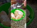 تذويب الدجاج بأقل من ١٥دقيقه 