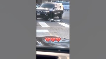 This Poor Robot Got HIT BY A CAR and You Won