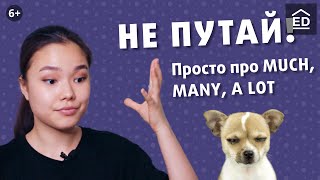 картинка: ЭТО ОСНОВА! Разница much, many, a lot | Английский для начинающих | EnglishDom