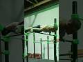 Calisthenics = ART