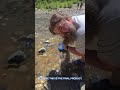 I Found GOLD In Bear River And You Can Too I Found GOLD In Bear River And You Can Too