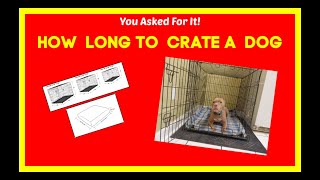 How long is too long in crate to leave a dog in a crate?  Crate Train