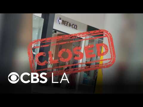 Former Bee & Co. employee recalls high-pressure sales tactics amid California store closures