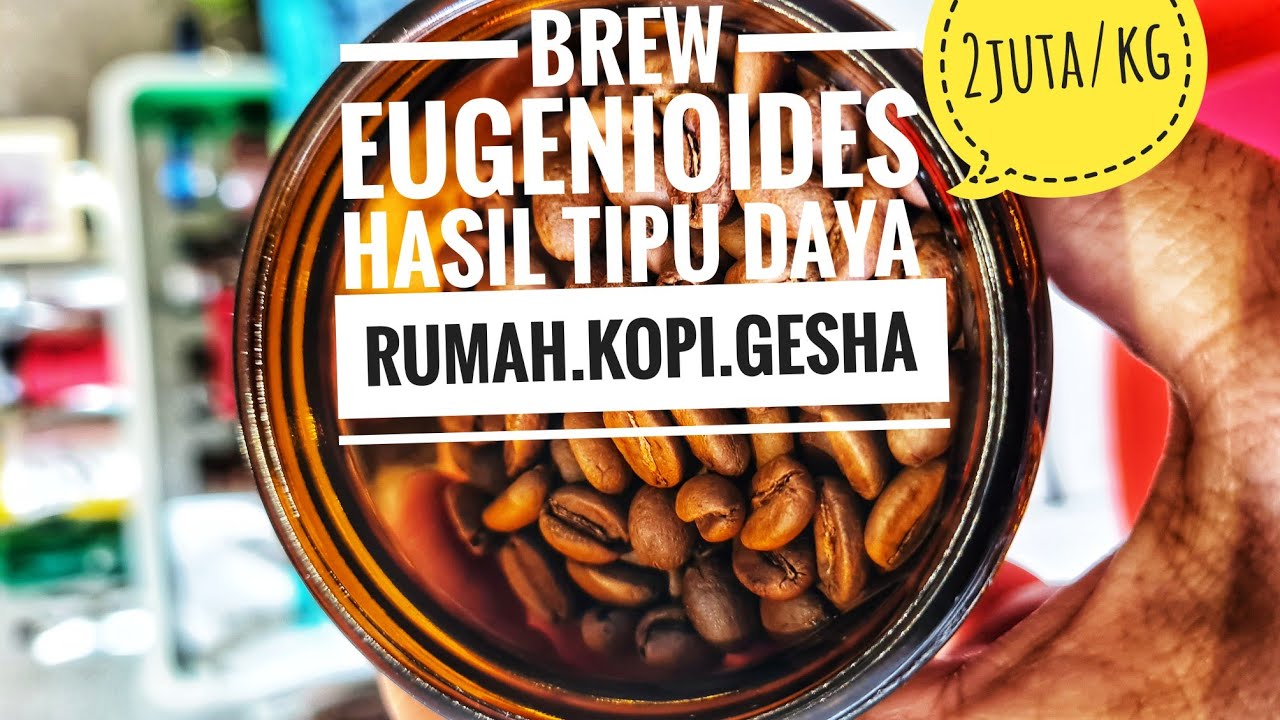 BREW BACOT SCAM BEAN EUGENIOIDES DARI RUMAH KOPI GESHA DEPOK! MOGA YANG