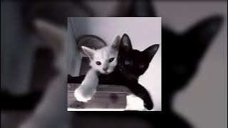 Download lagu justin bieber - cold water (sped up)