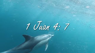 1 Juan 4:7 - 8