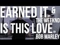 Earned It Cover by The Weeknd & Is This Love by Bob Marley | Alex Aiono Mashup ft. Vince Harder