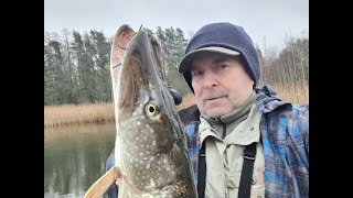 видео: Щучий беспредел... картинка: Щучий беспредел...