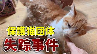 【団体失踪】ずさんな管理体制、とり残された猫たち