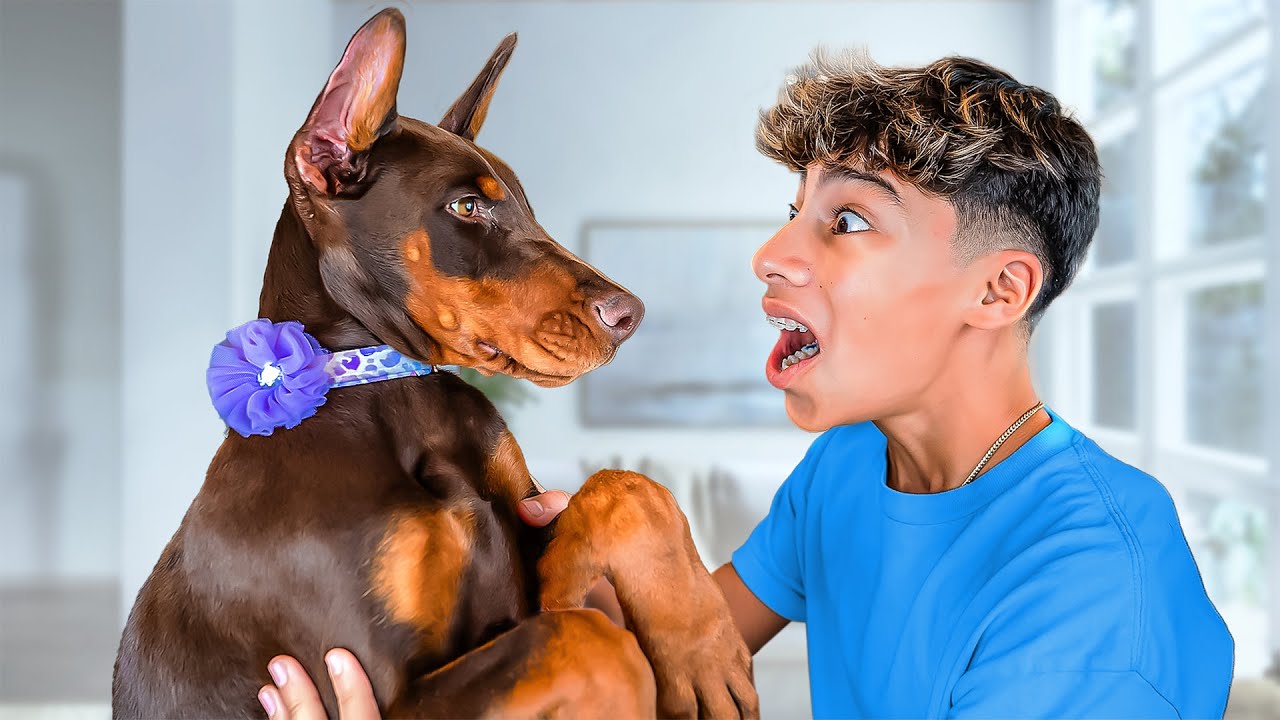 ⁣New Puppy Surprise! *Emotional*