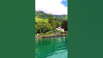 تلاوة خاشعة بصوت فارس عباد { رَبَّنَا لَا تُزِغْ قُلُوبَنَا بَعْدَ إِذْ هَدَيْتَنَا }