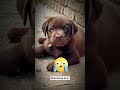 Jump Gone Wrong ❌😱~working art skillwood/ hand crafts / #shortfeed #facts #funny #subscribe #viral