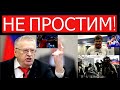 "Да как они смеют": Жириновский обрушился на Бельгию и грозит последствиями за проигрыш России