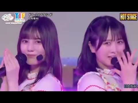 TIF 2023日向坂46ドレミソラシド