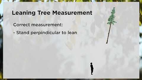 Forest Measurements: Leaning Tree