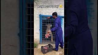 Not today #funny #reels #viral #goviral