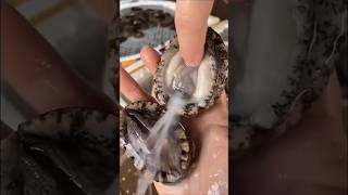 Pani or rakh~wood working art skill wood / hand crafts #shorts #comedyeffect