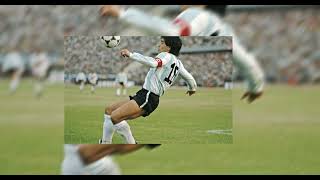 Montagem Biônica Espectral 2