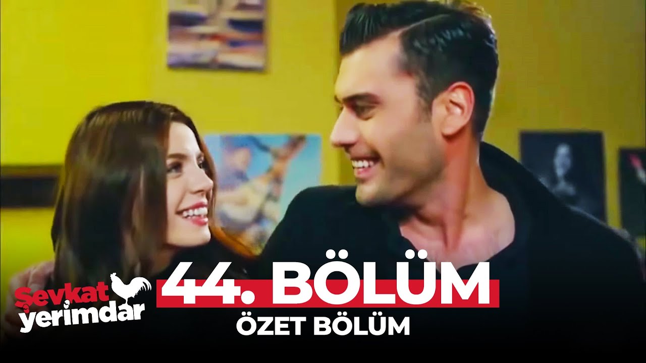 zonguldak masaj salonu araç hasar sorgulama