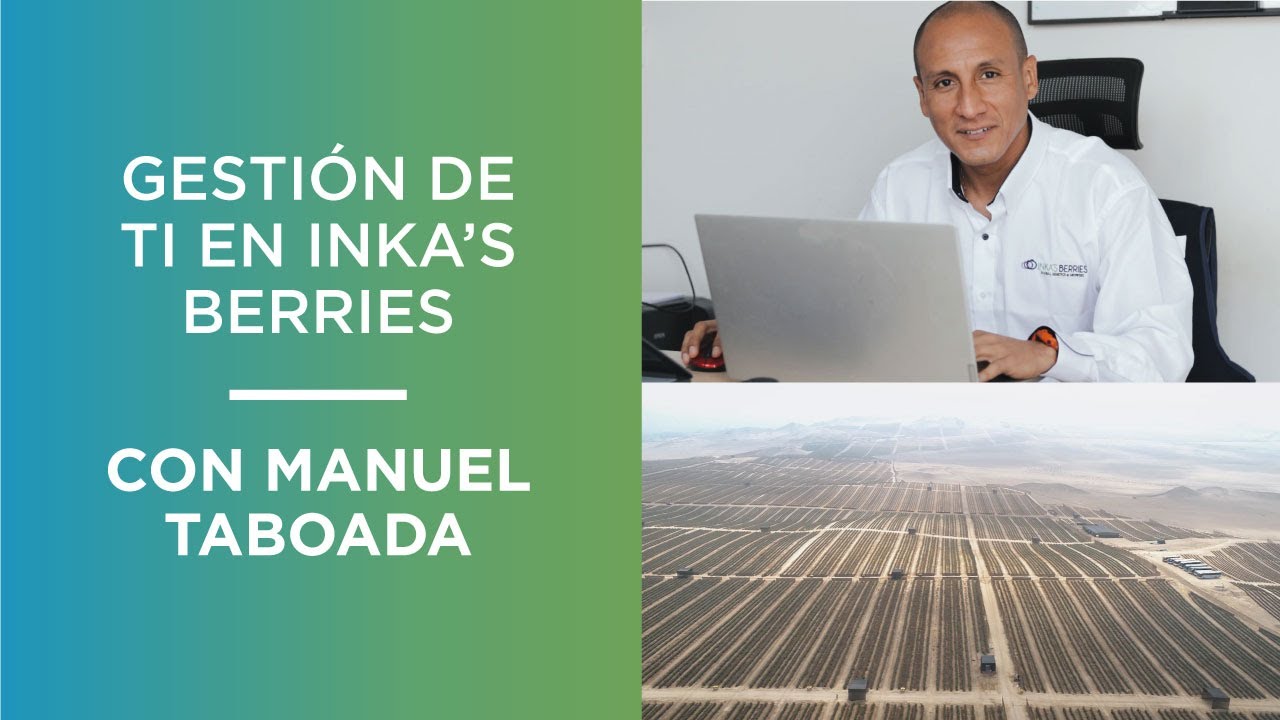 Gestión de tecnología de la información en Inkas Berries