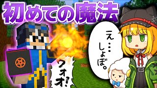 【マインクラフト】伝説級ドラゴンと天空の城で暮らす:Part3【ゆっくり実況】