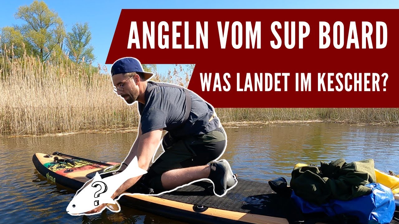 Angeln vom Stand up Paddle Board 🎣 SUP Tour | Gewässererkundung - YouTube