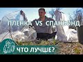 Выращивание рассады 🌿 Что лучше: спанбонд или пленка для парников по технологии Гордеевых